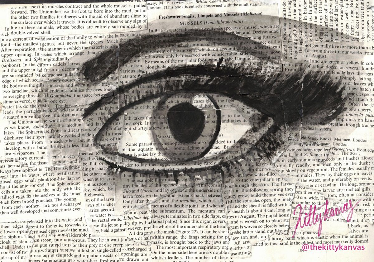Eye saw the news: an eye painted over torn book pages